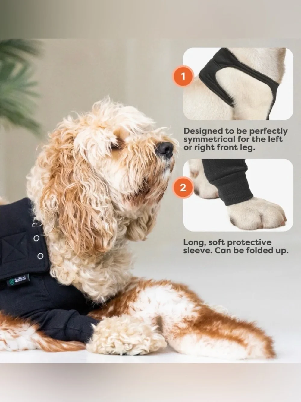 Suitical Recovery Sleeve for Dogs, Black, Small Hot Spots Surgery Injury Shield